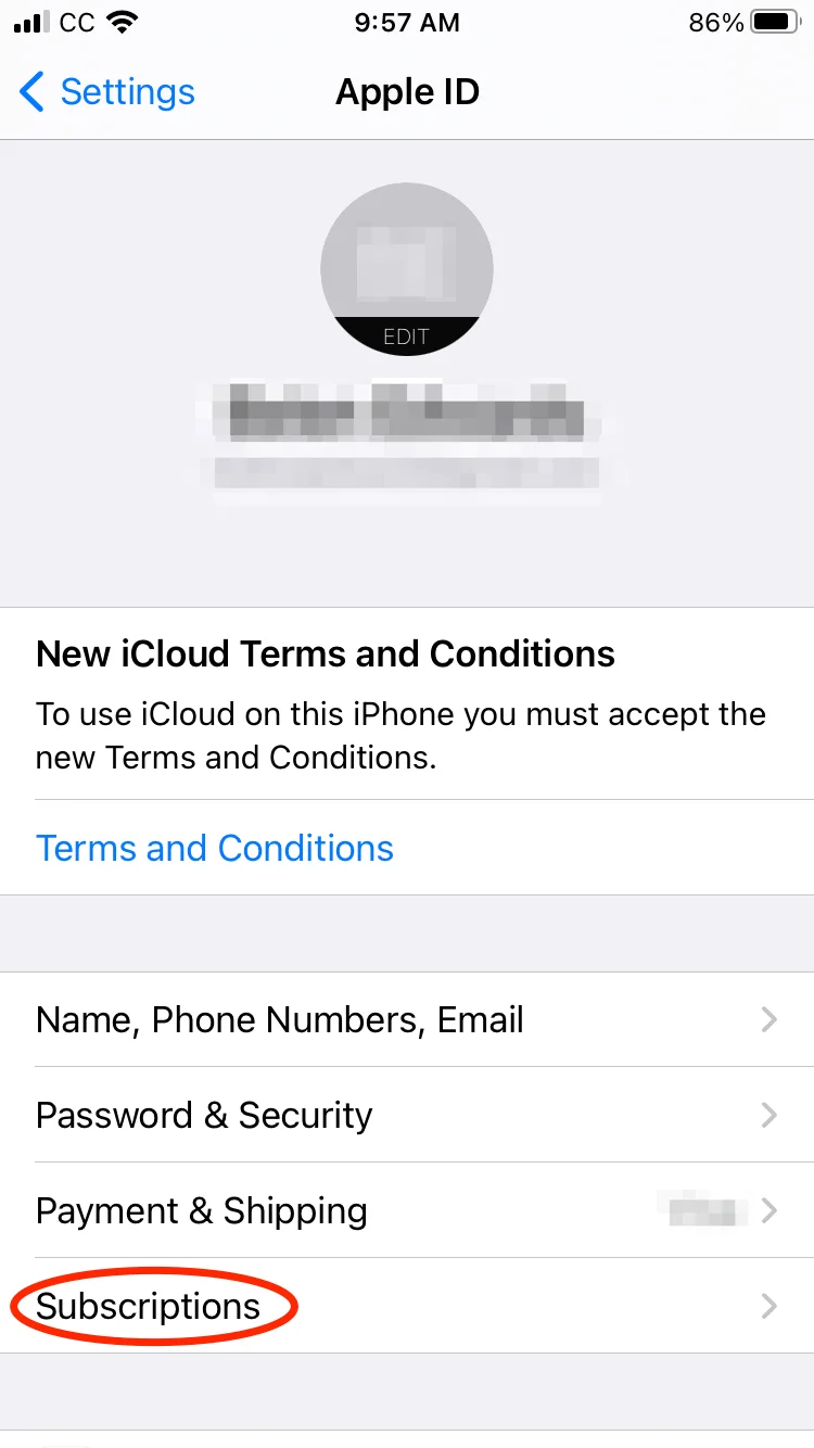 Apple%20ID%20-%20Subscriptions_15197
